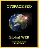 cyspacegoldaward.JPG