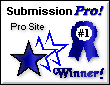 proaward6.gif