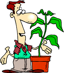 man_12.gif (16545 bytes)