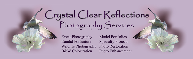 Crystal Clear Reflections Photography Service Logo
