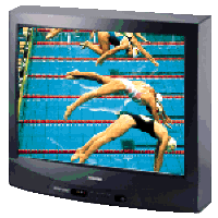 tv.gif
