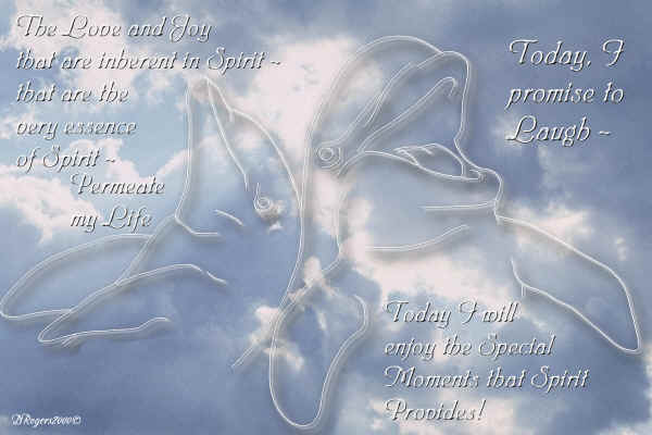 February Dolphin Meditation