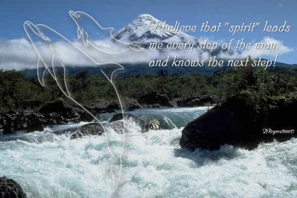 September Dolphin Meditation