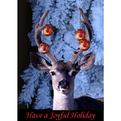 holiday card