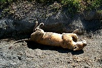 n_004.jpg