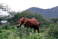 sa_008.jpg