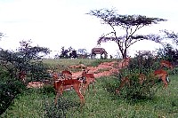 sa_009.jpg