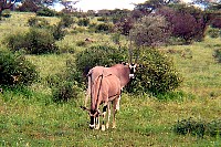 sa_026.jpg