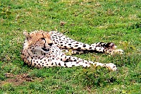 se_004.jpg