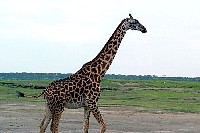 se_007.jpg