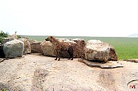 se_009.jpg