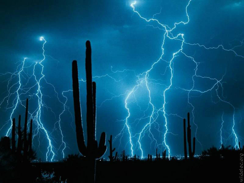 Amazing & Exceptional Photographs