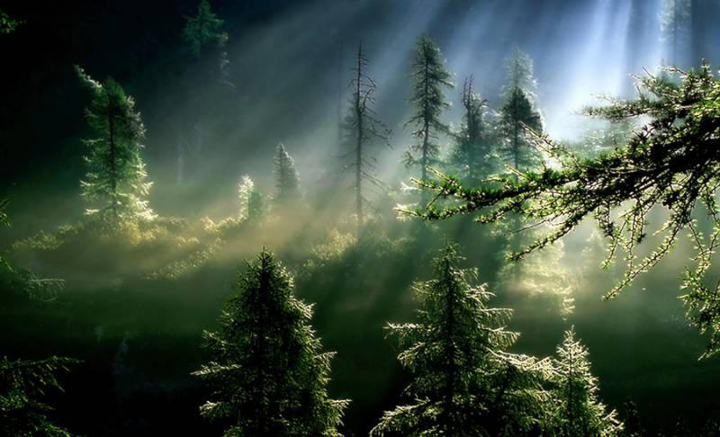 Amazing & Exceptional Photographs